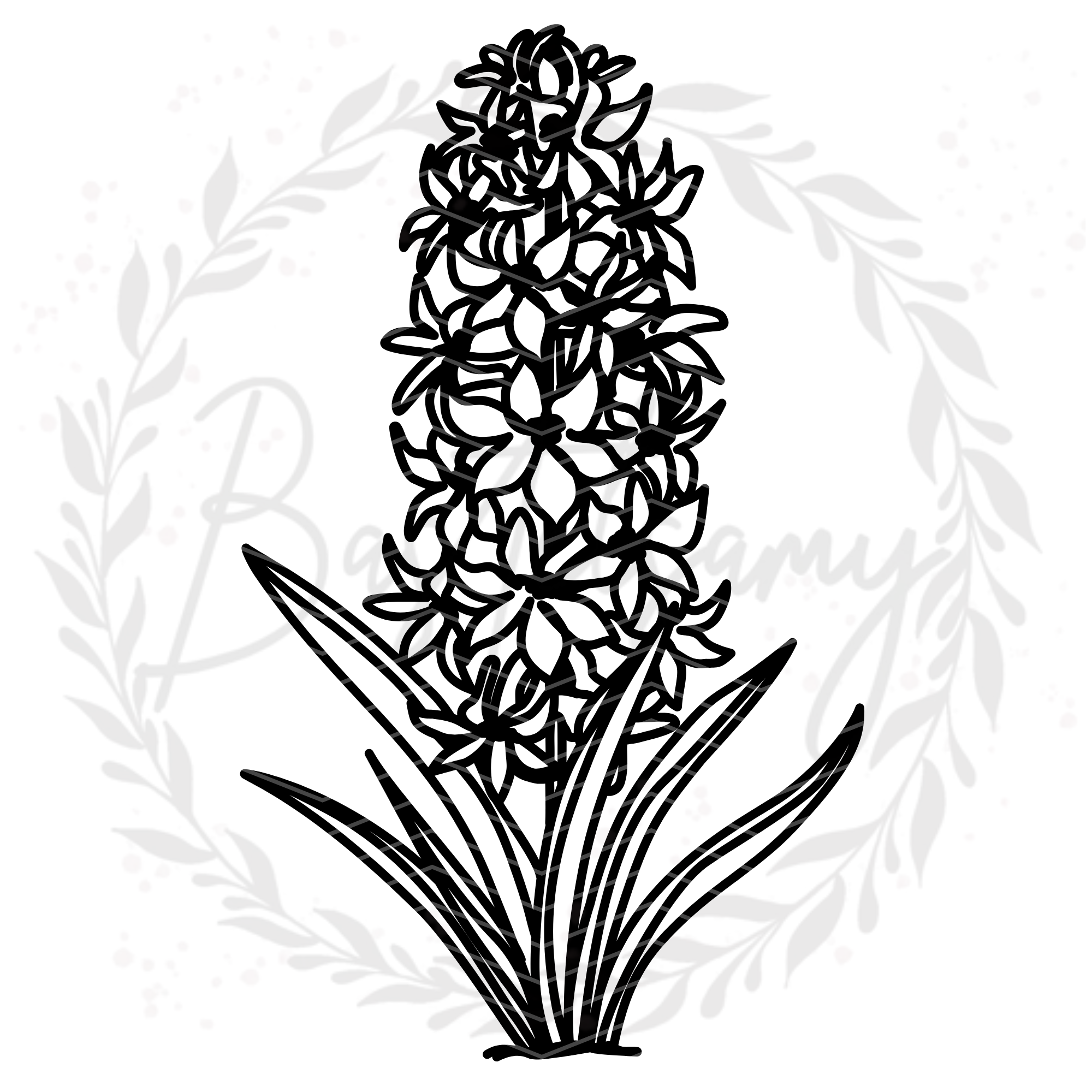 SVG Datei - Hyazinthe by Bastelsamy