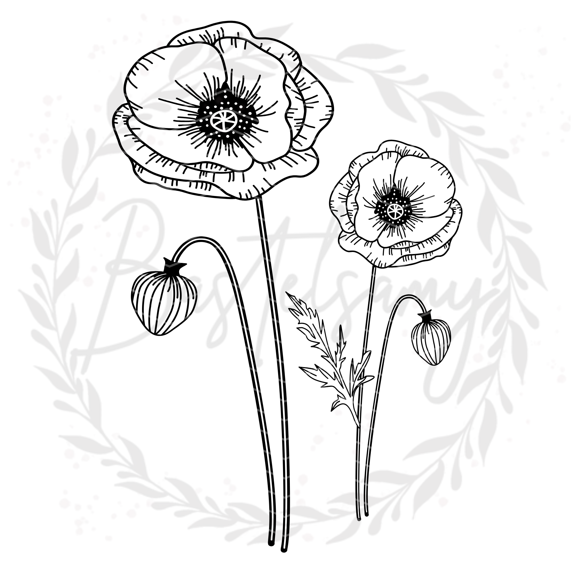 SVG Datei - Mohnblume by Bastelsamy